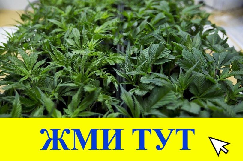 Купить наркотики в Семилуках